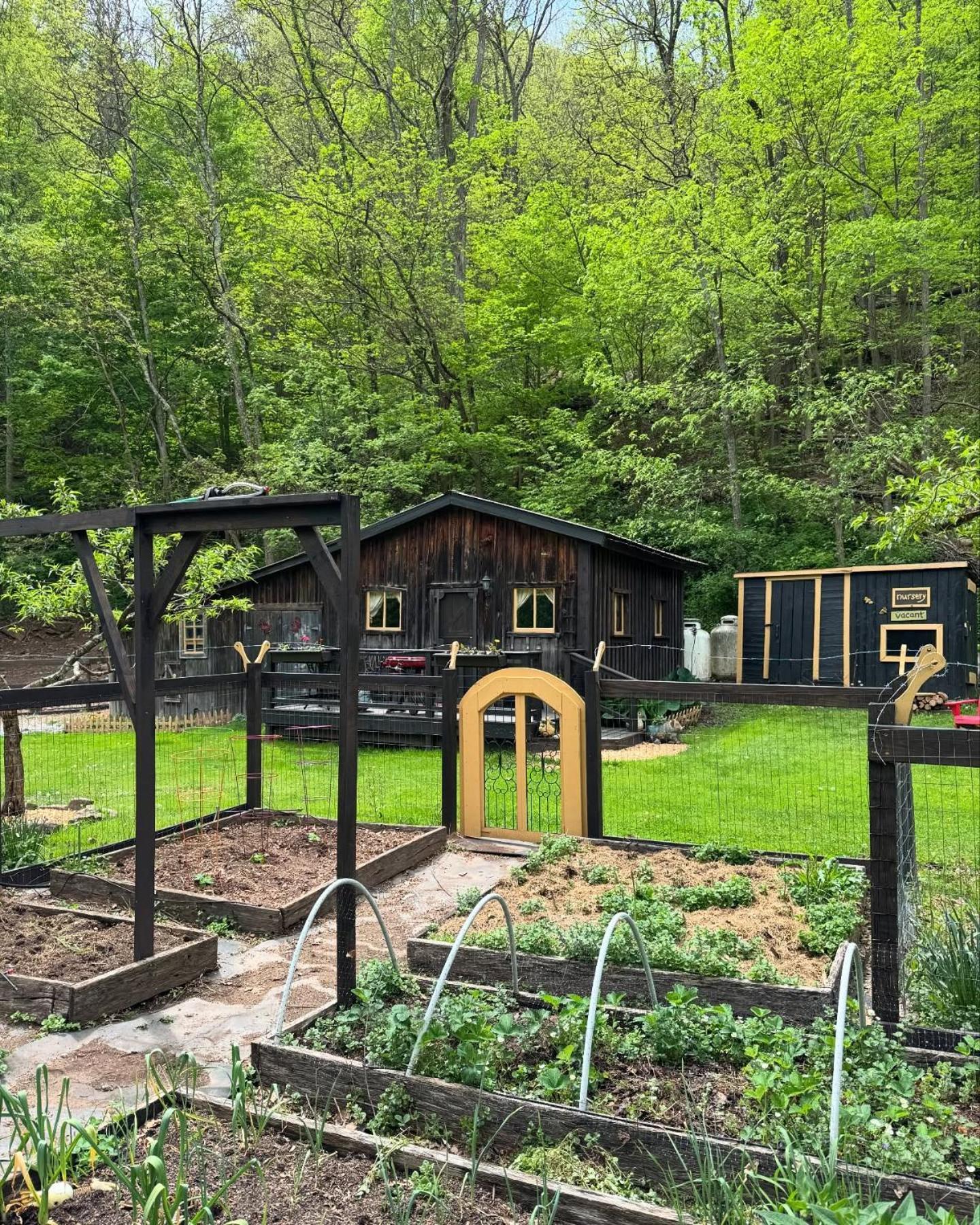 The Renovated Barn At Seneca Rocks Villa Exterior photo